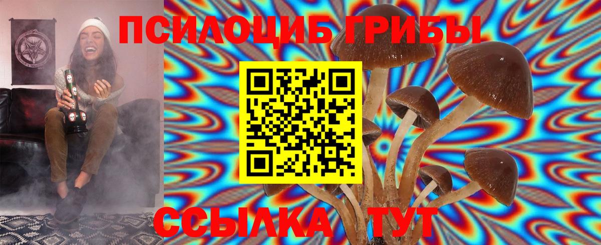 Псилоцибиновые грибы Magic Shrooms Прохладный