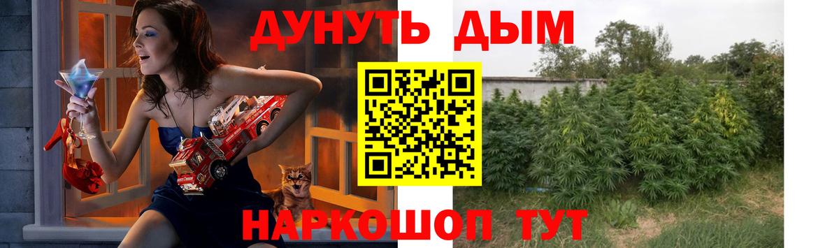 Каннабис AK-47 Прохладный